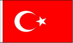 Turkey Hand Waving Flags